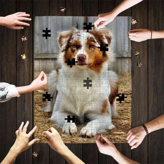 Australian Shepherd Aussie Dog Cute Puzzle