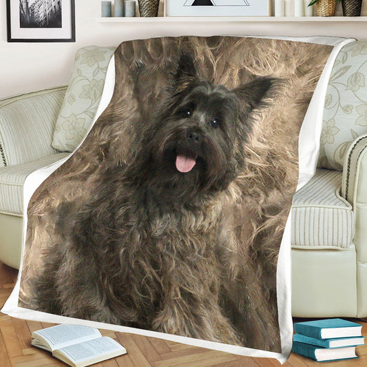 Cairn Terrier Dog Cute Portrait Fleece Blanket